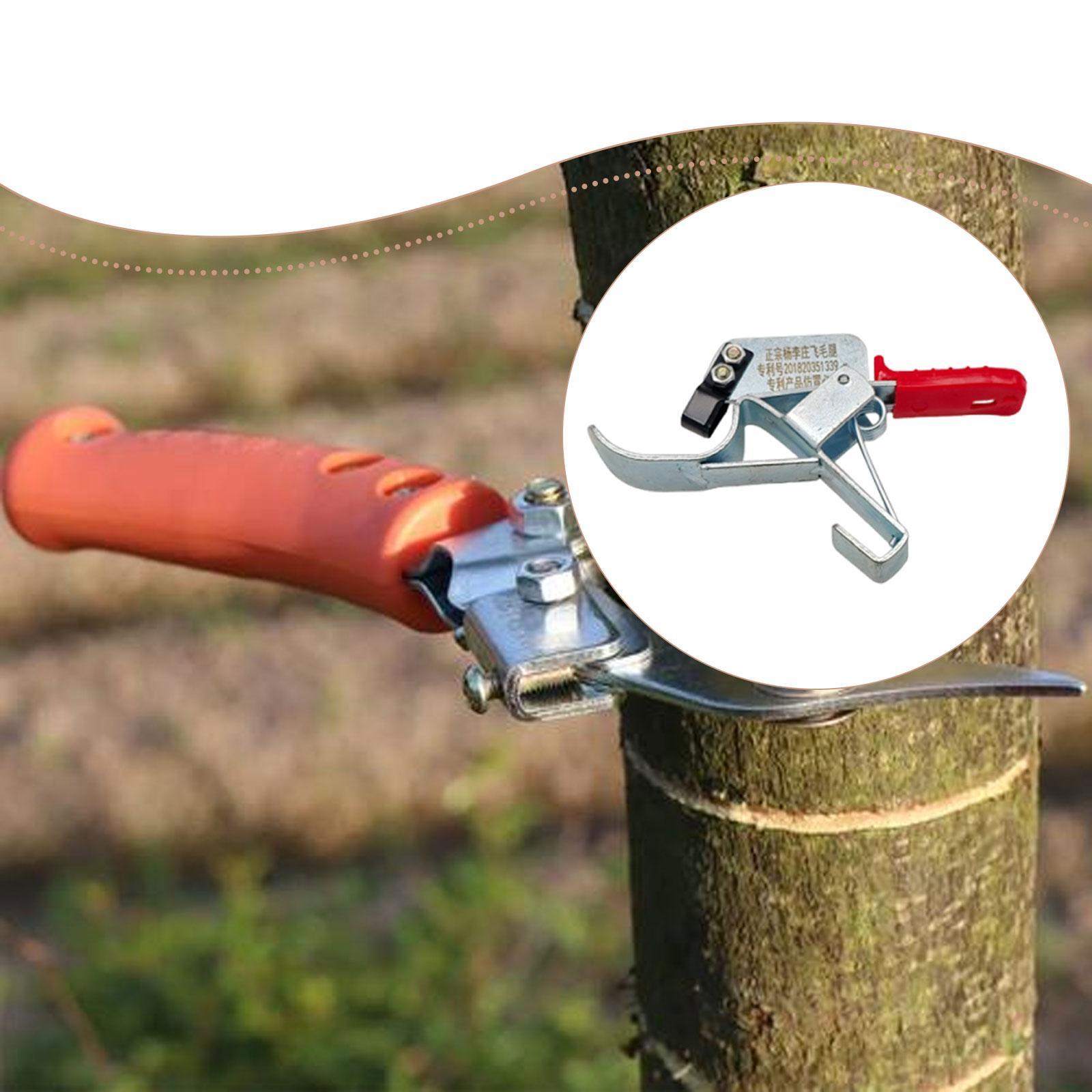 เครื่องมือรัดต้นไม้ผลไม้ ใช้งา - Gardening Tools Essential บทวิจารณ์และราคา