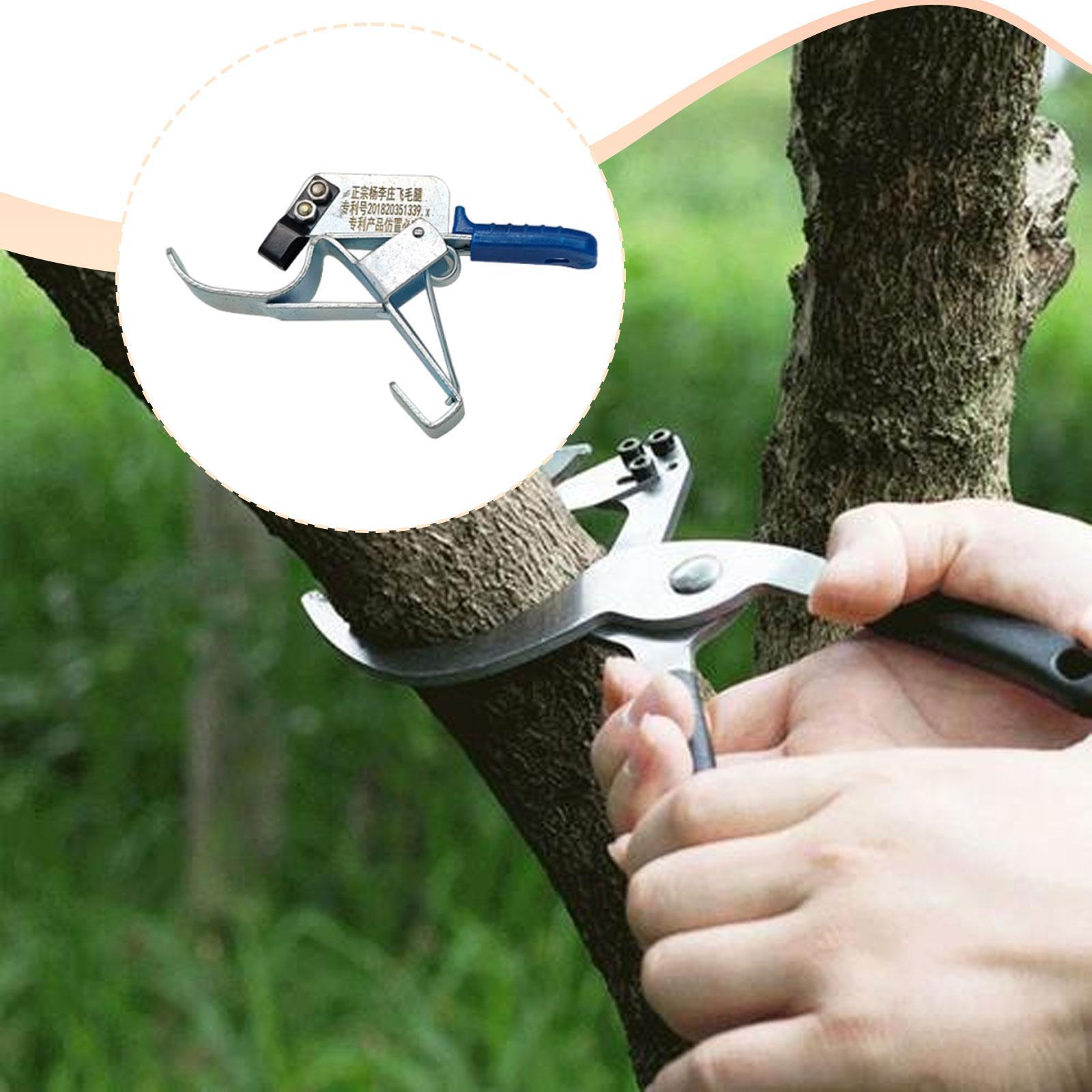 เครื่องมือรัดต้นไม้ผลไม้ ใช้งา - Gardening Tools Essential บทวิจารณ์และราคา