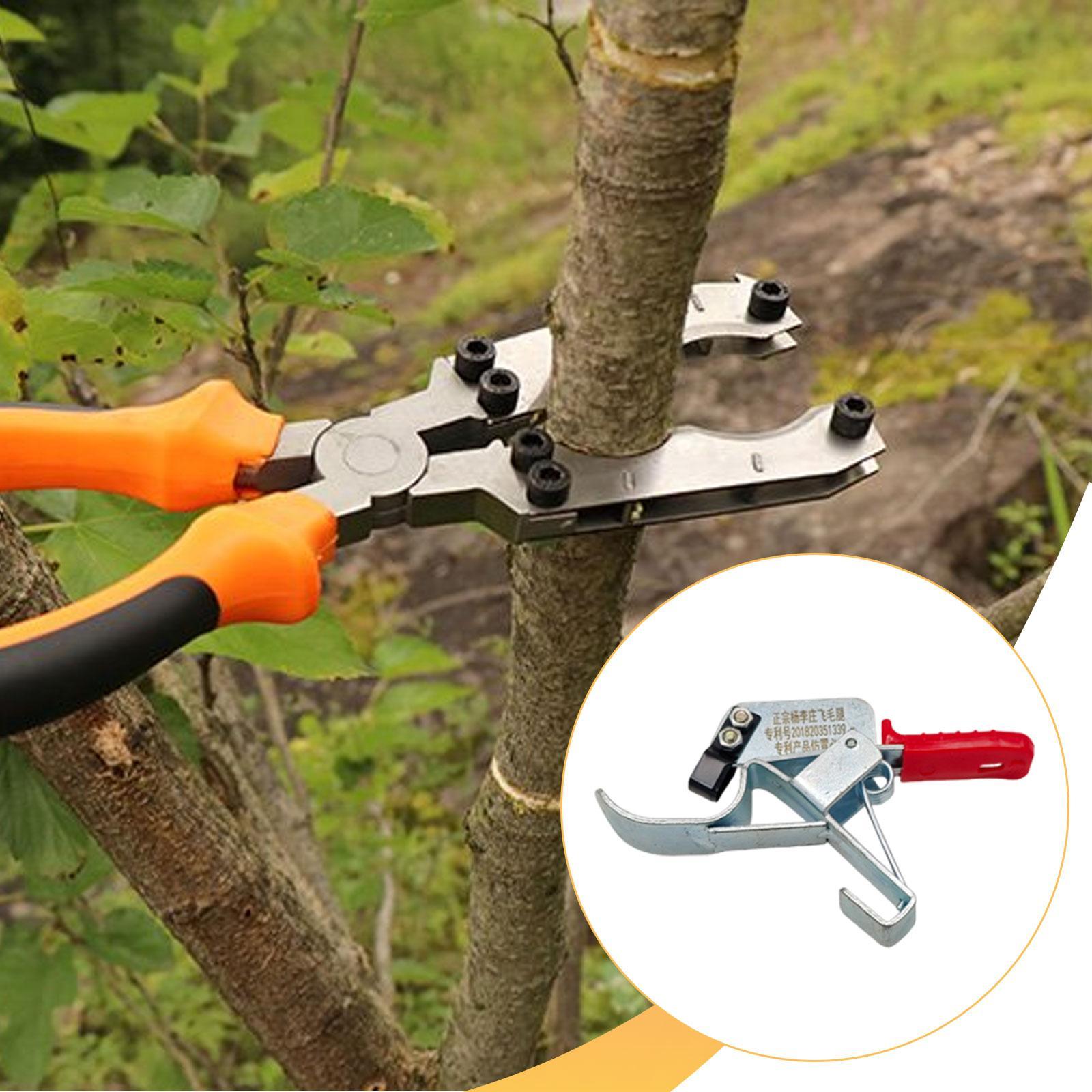 เครื่องมือรัดต้นไม้ผลไม้ ใช้งา - Gardening Tools Essential บทวิจารณ์และราคา
