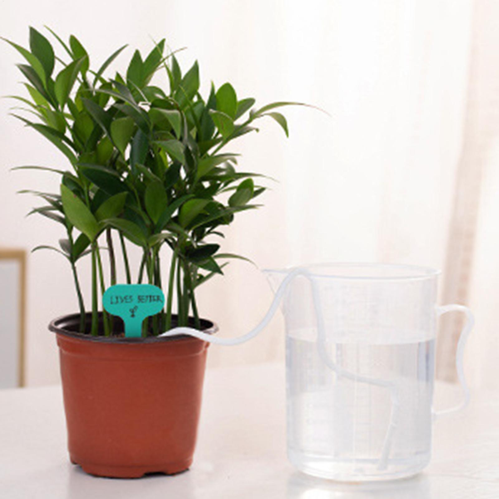 เชือกให้น้ำต้นไม้แบบอัตโนมัติ  - Self-Watering Planter บทวิจารณ์และราคา