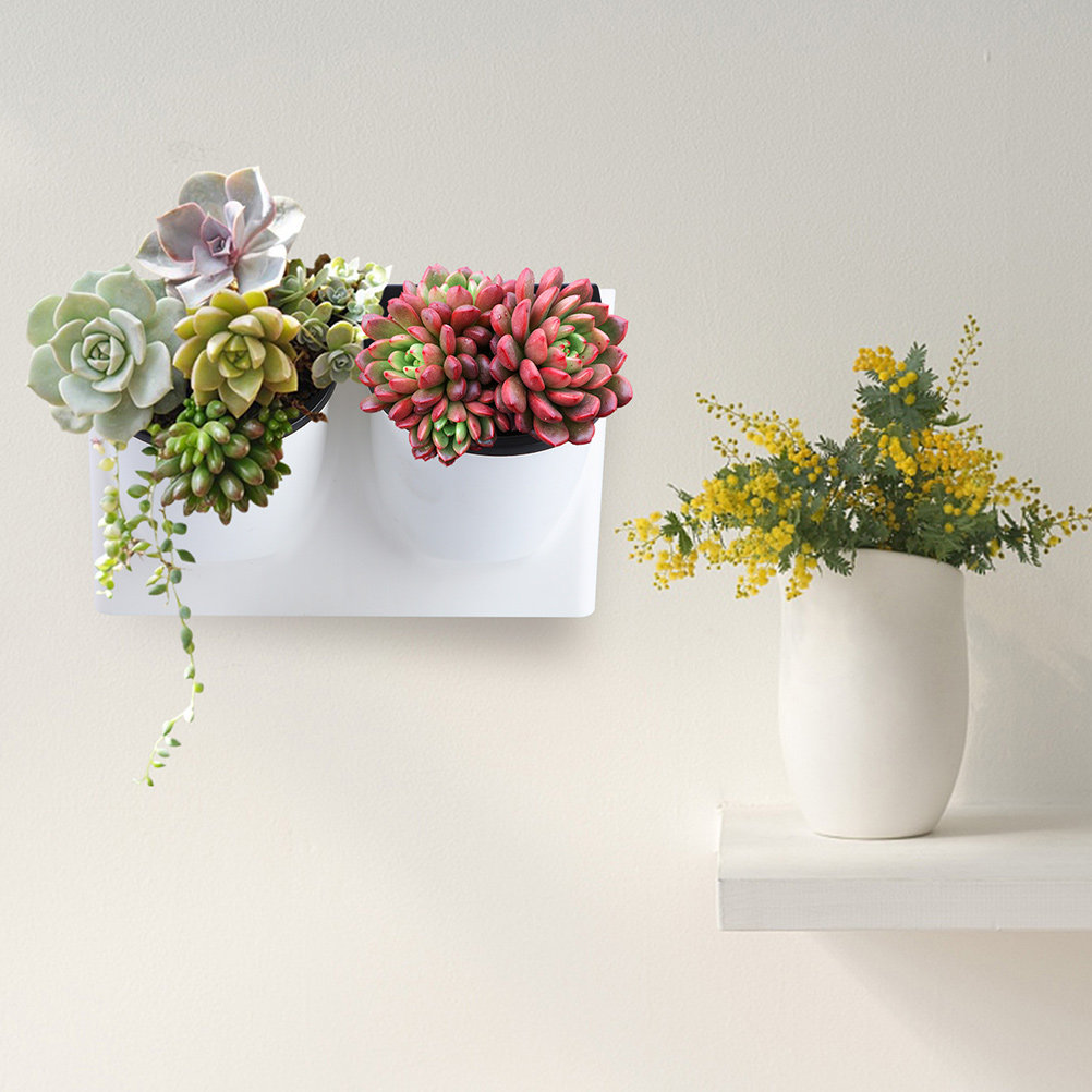 กระถางดอกไม้รดน้ำอัตโนมัติ ทำจ - Self-Watering Planter บทวิจารณ์และราคา