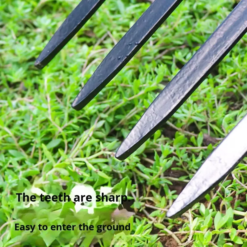 ส้อมเหล็กสี่ซี่สำหรับเกษตรกรรม - Spade Digging Fork บทวิจารณ์และราคา