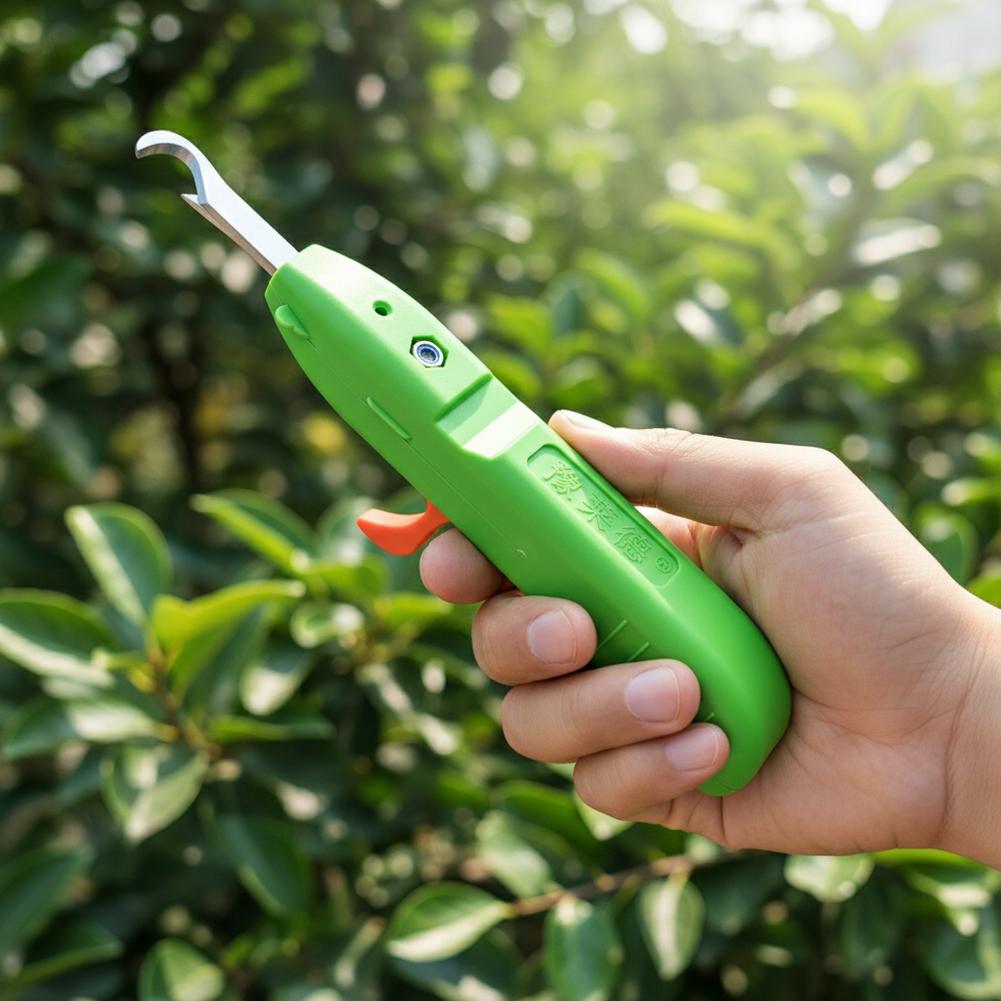 กรรไกรตัดผลไม้และผัก กรรไกรตัด - Gardening Tools Vegetables บทวิจารณ์และราคา