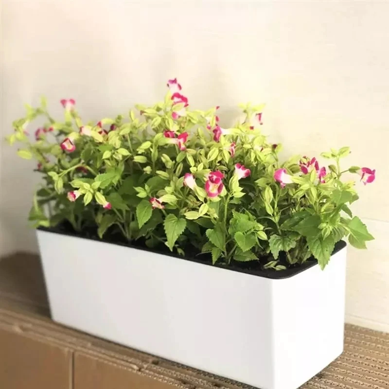 กระถางดอกไม้ทรงสี่เหลี่ยมผืนผ้ - Automatic Plant Waterer บทวิจารณ์และราคา