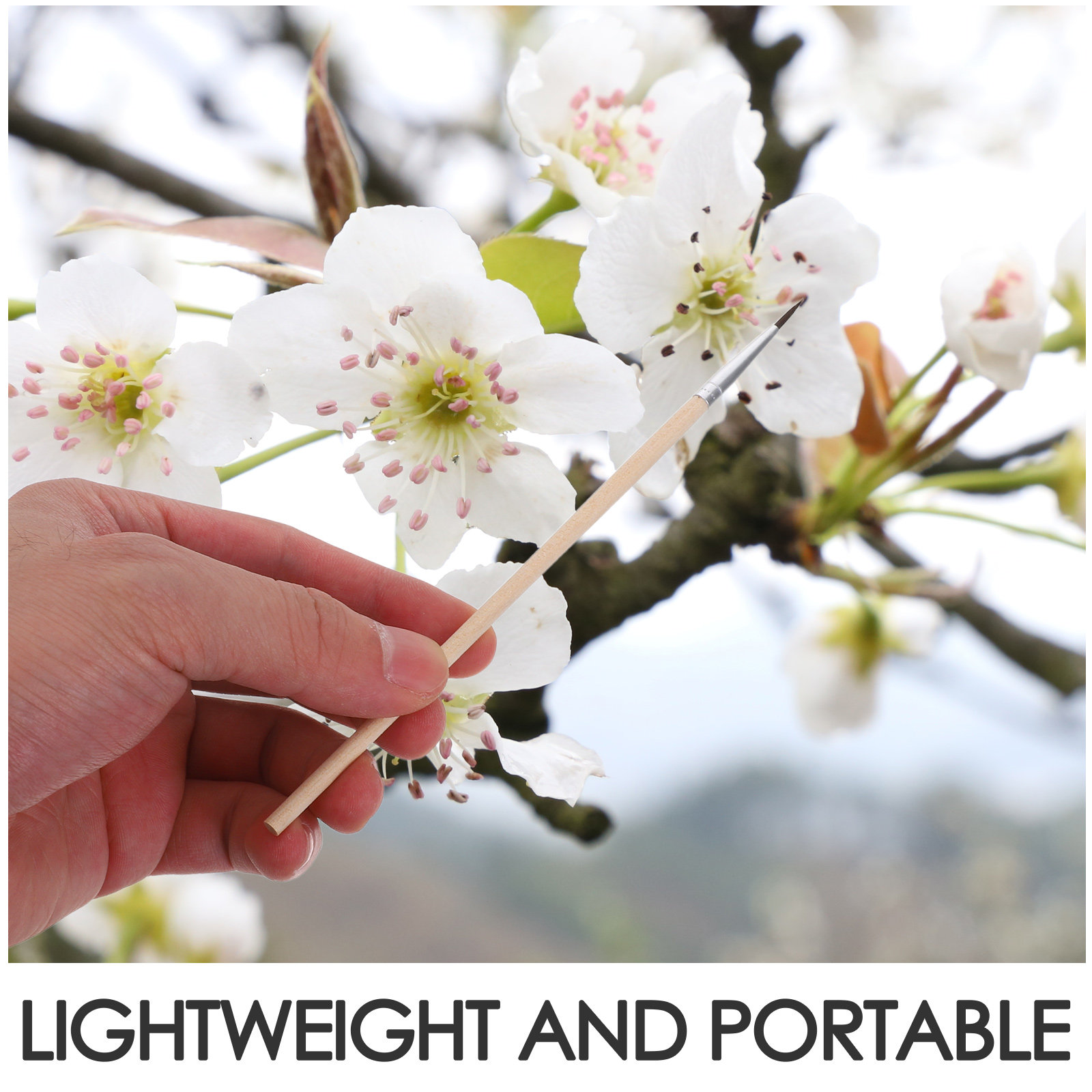 แปรงปัดฝุ่นละอองสำหรับสวน 24 ช - Gardening Tools Vegetables บทวิจารณ์และราคา