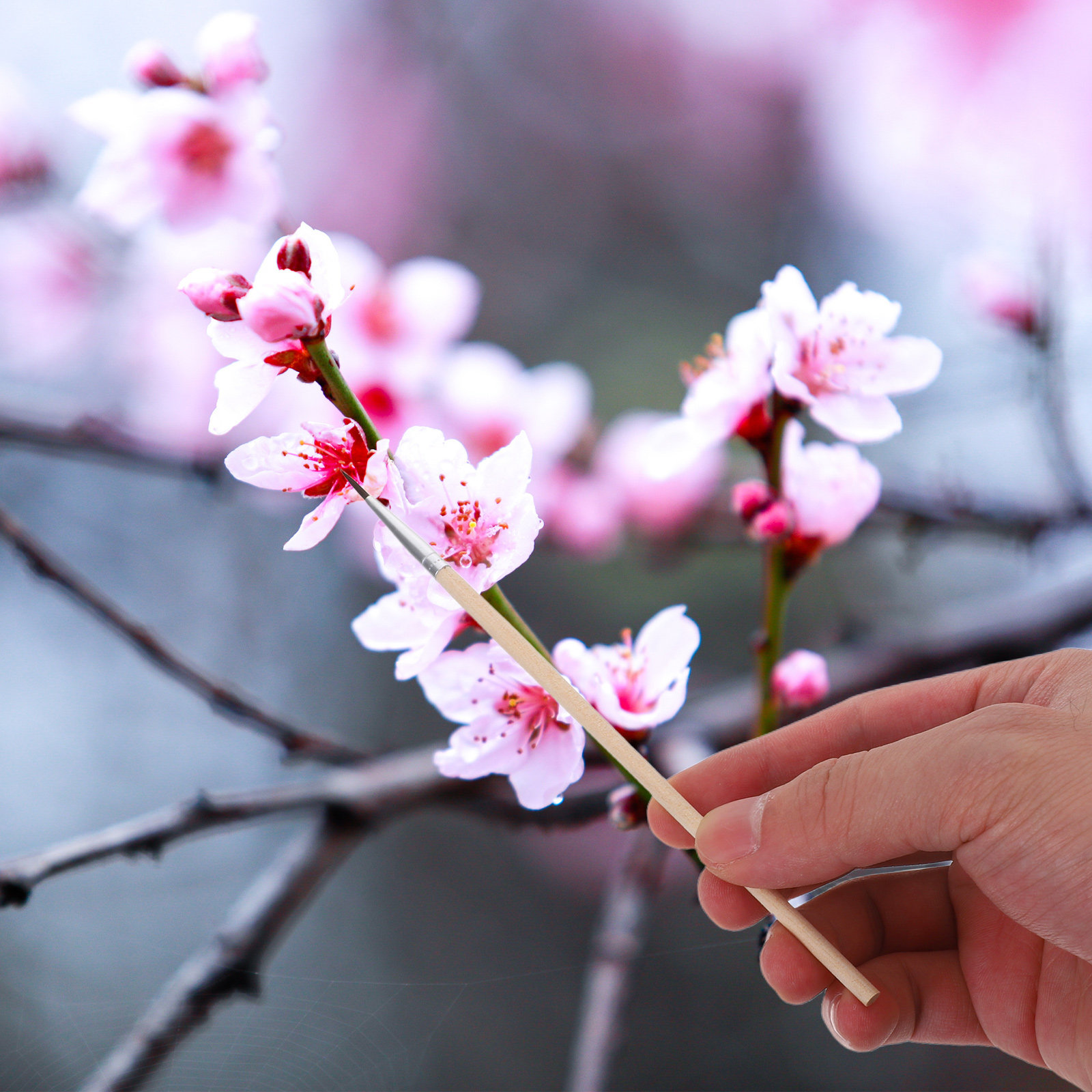 แปรงปัดฝุ่นละอองสำหรับสวน 24 ช - Gardening Tools Vegetables บทวิจารณ์และราคา