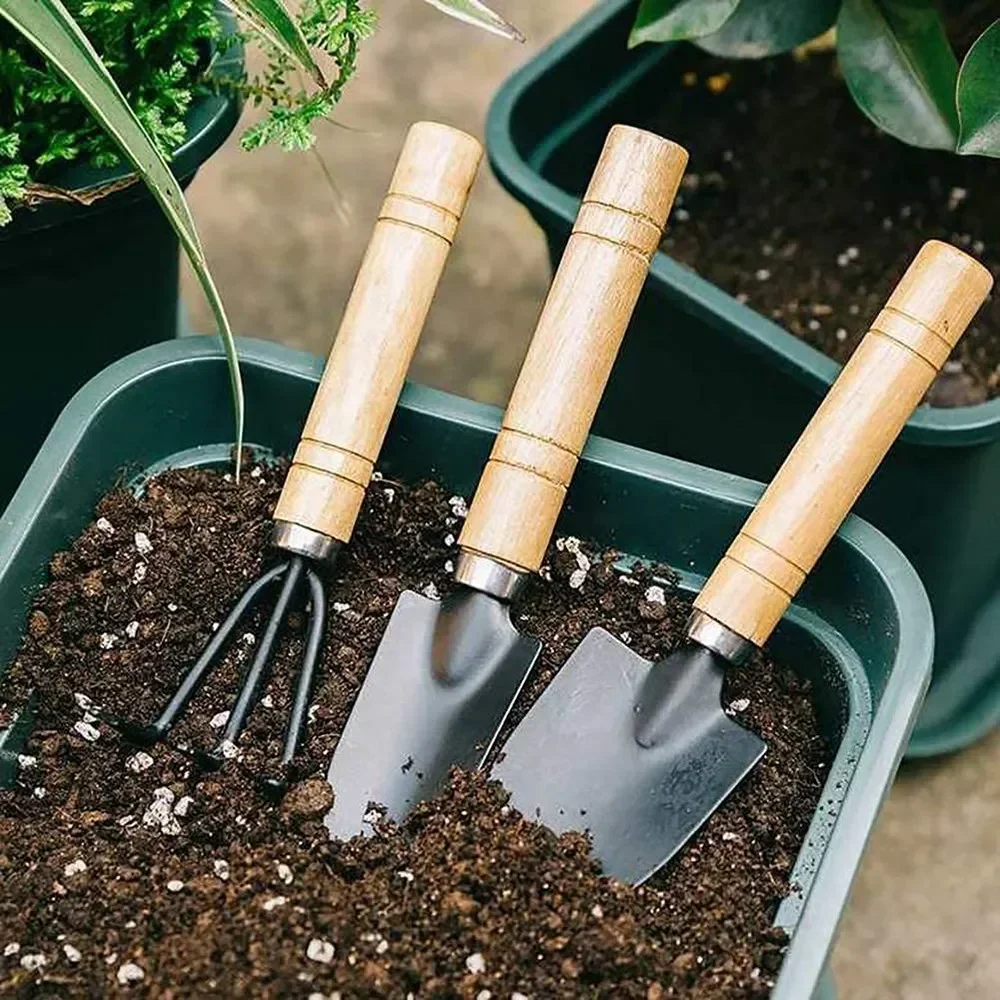 ชุดเครื่องมือทำสวนขนาดเล็ก 3 ช - Gardening Tools Vegetables บทวิจารณ์และราคา