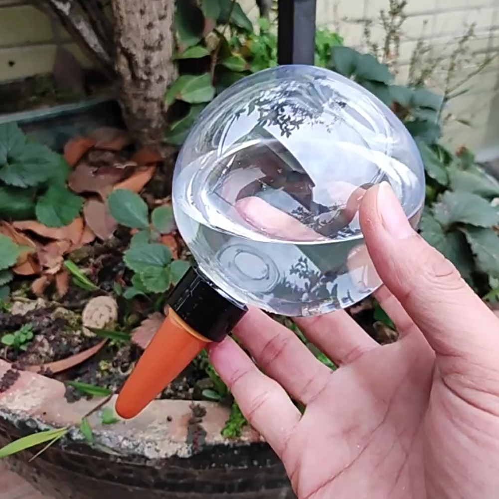 ลูกบอลรดน้ำอัตโนมัติขนาด 500 ม - Self-Watering Planter บทวิจารณ์และราคา