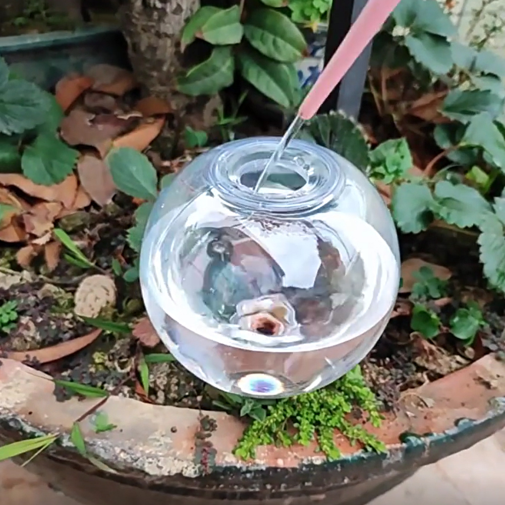 ลูกบอลรดน้ำอัตโนมัติขนาด 500 ม - Self-Watering Planter บทวิจารณ์และราคา