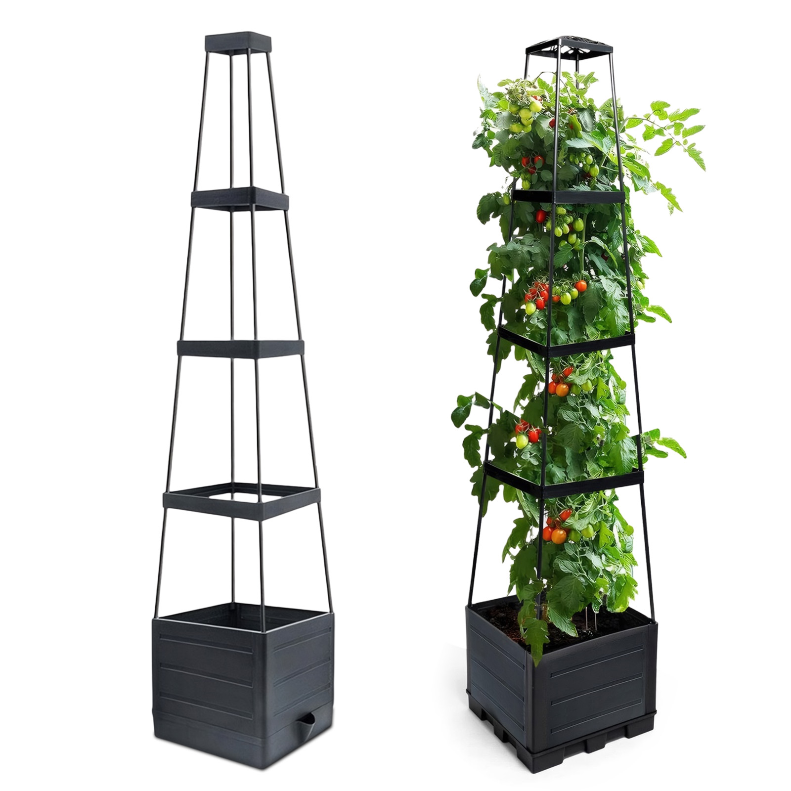 กระบะปลูกผักยกพื้นพร้อมโครงตาข - Self-Watering Planter บทวิจารณ์และราคา