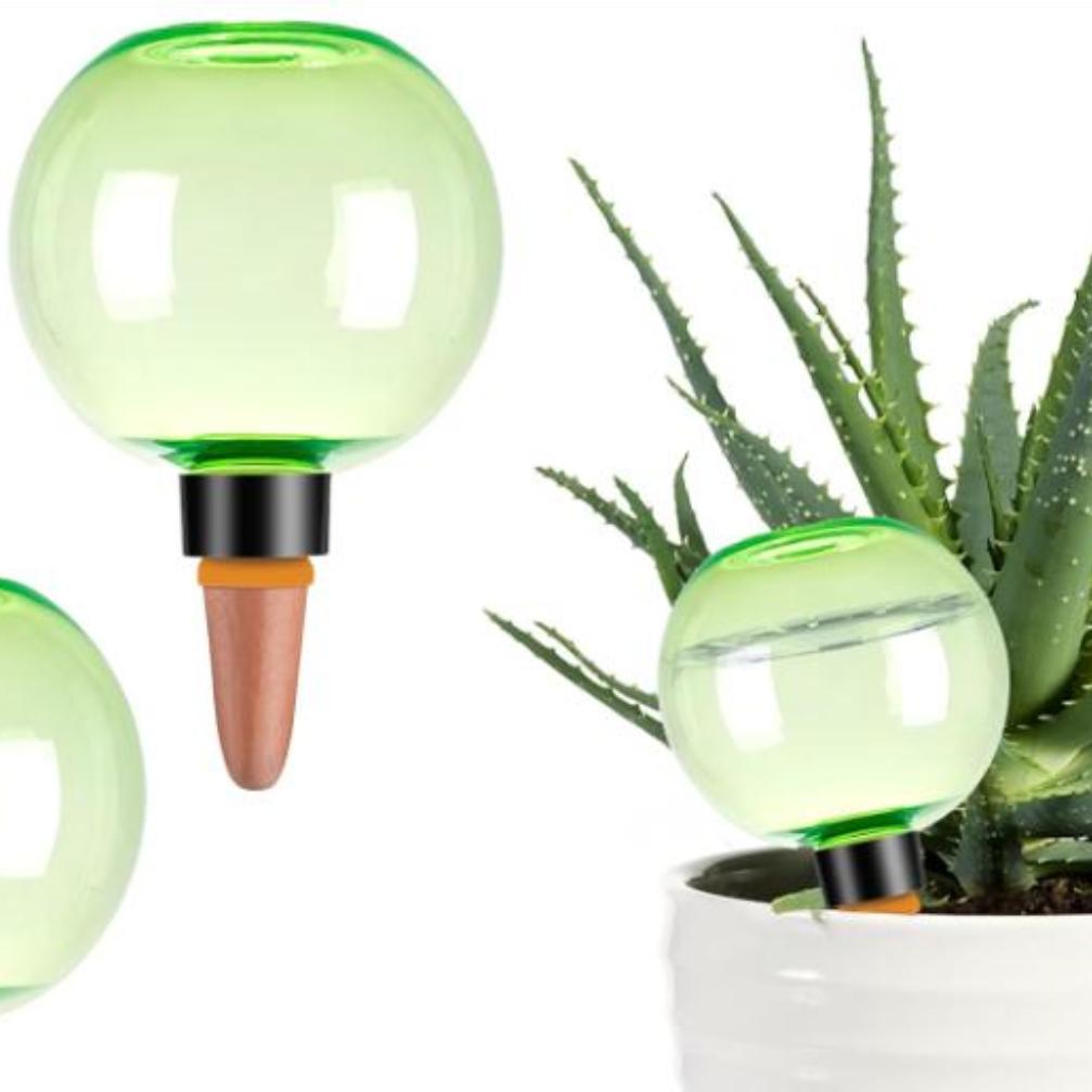 ลูกบอลรดน้ำต้นไม้ขนาดใหญ่ 3 ชิ - Self-Watering Planter บทวิจารณ์และราคา