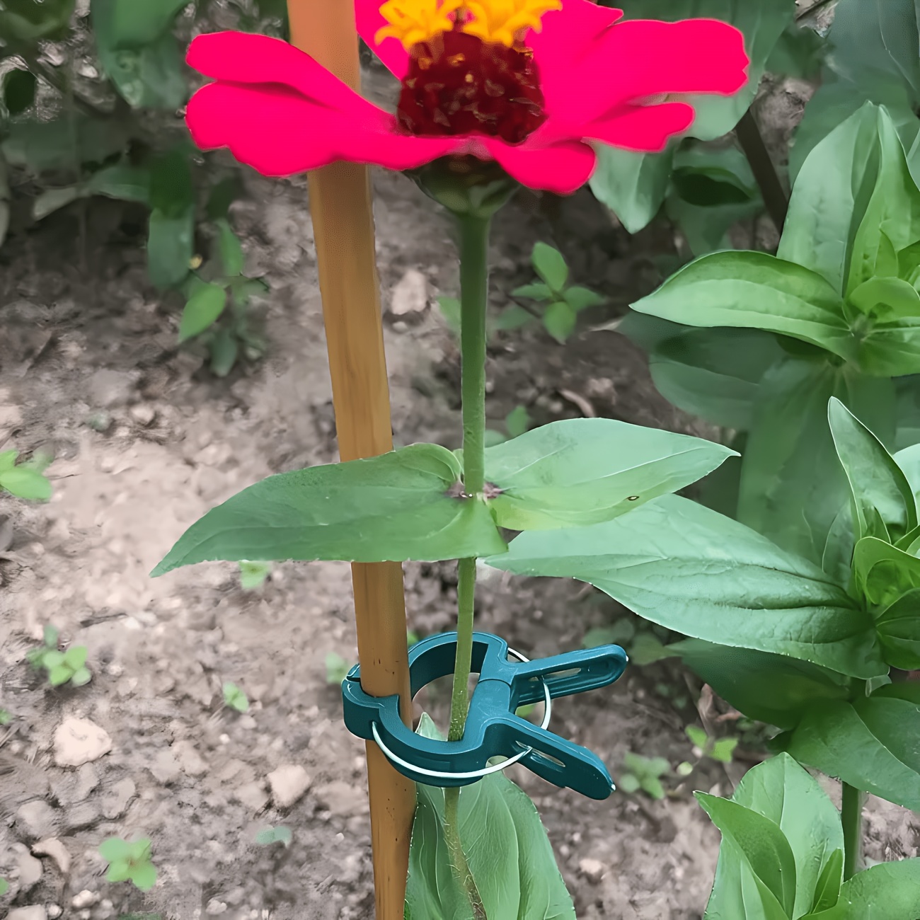 คลิปหนีบต้นไม้ปรับได้ 5 ชิ้น ข - Gardening Tools Essential บทวิจารณ์และราคา